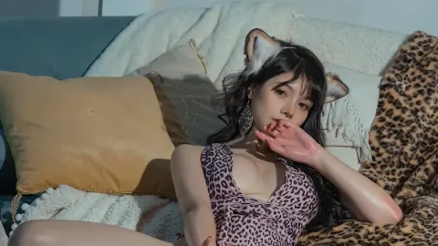 手机精品短剧大全立即观看